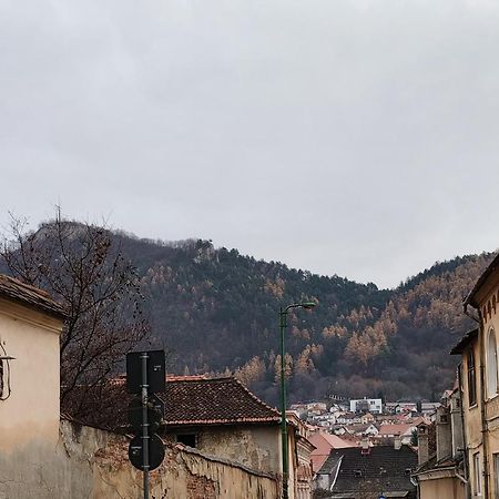 Golden Greens Studio - Mountain Scenery Brașov Exterior foto