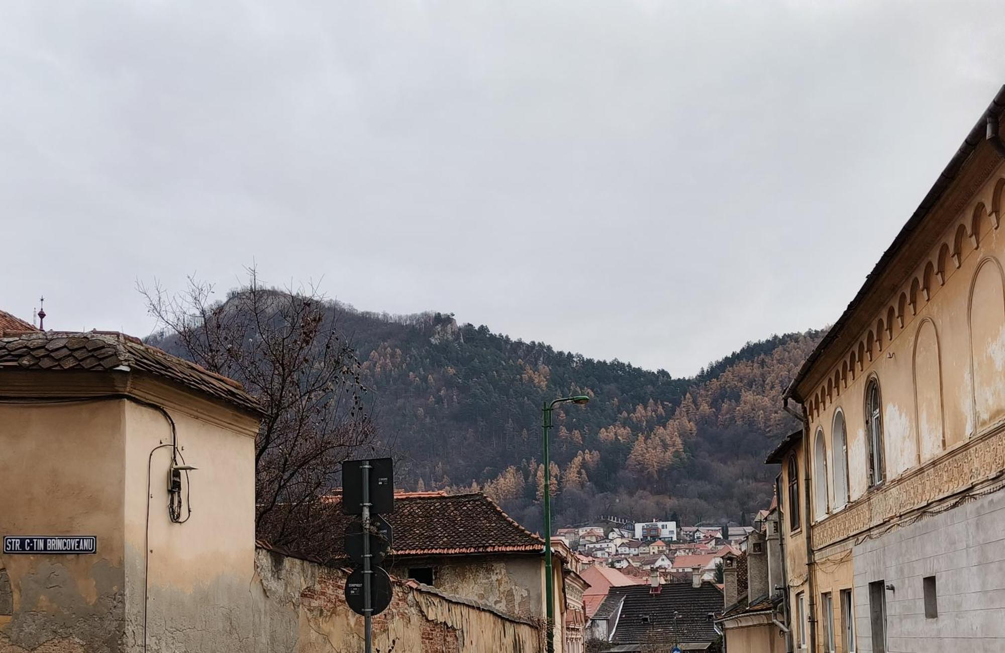 Golden Greens Studio - Mountain Scenery Brașov Exterior foto